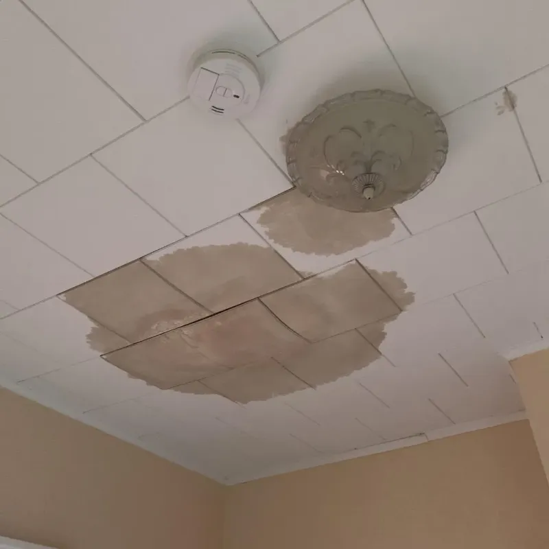 Ceiling Water Damage Repair in Iowa Falls, IA