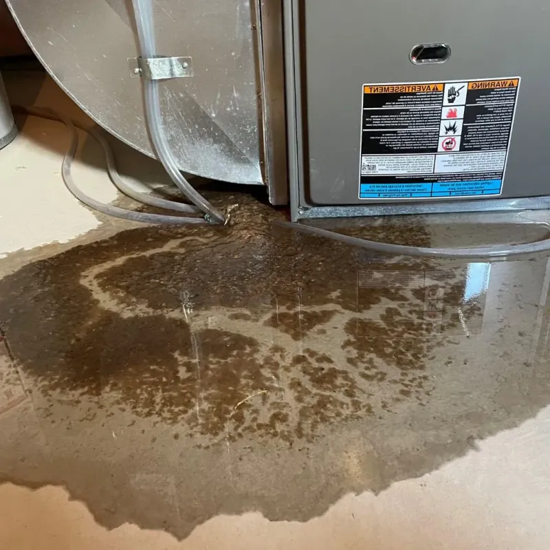 Pipe Burst and Leak Restoration in Iowa Falls, IA