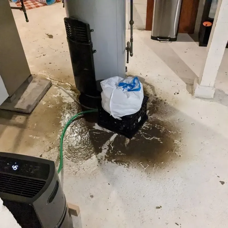 Sewage Backup Cleanup Service in Iowa Falls, IA